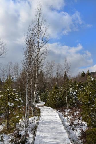 Hotel Modrava — Hartmanice — photo 5