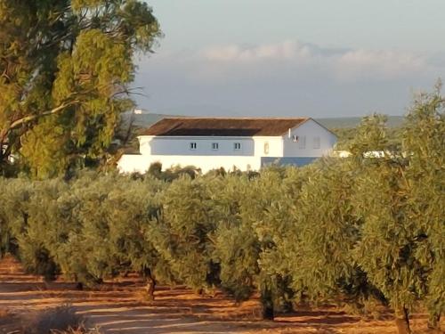 Luxury Accomodation Off Grid — hotel in Sierra De Yeguas