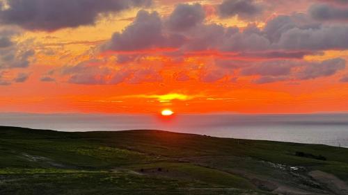 The Sunset roost in Unknown City, Tunisia