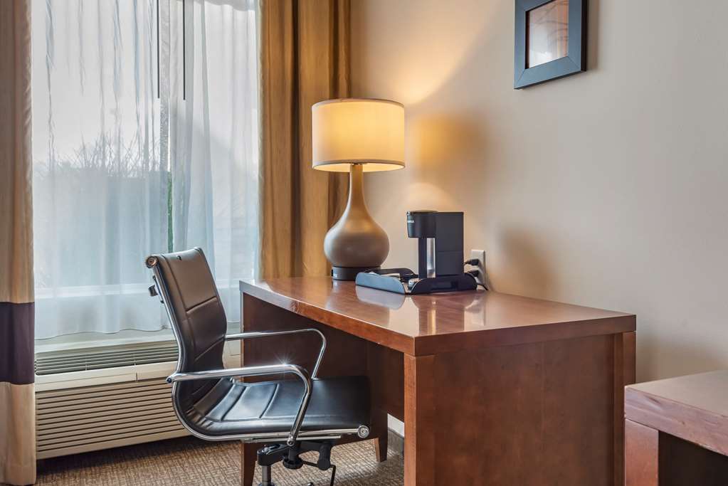 Comfort Inn Apalachin Binghamton W Route 17 - photo 16