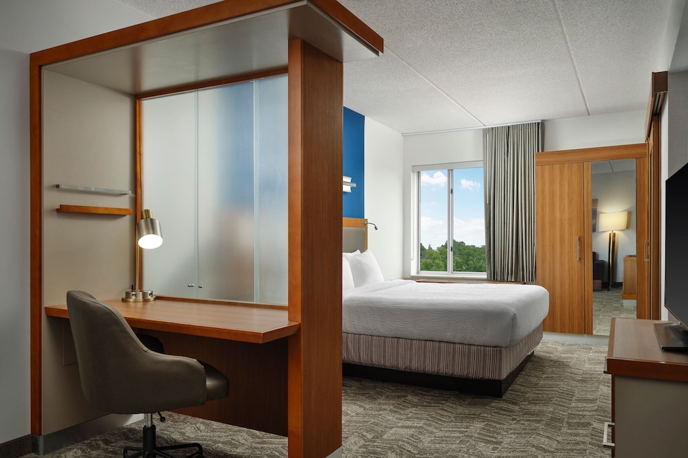 Springhill Suites by Marriott Pittsburgh Mt. Lebanon - photo 9