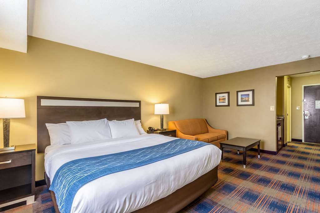 Comfort Inn Independence Cleveland - photo 20