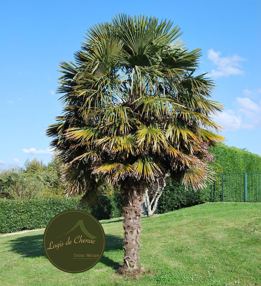 Logis de Chenac — hotel in Cozes