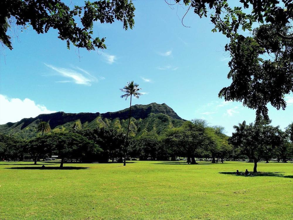 Diamond Head Beach Hotel 805 - photo 23
