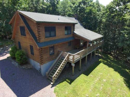 Mountain Maryland Bear In The Woods — Grantsville