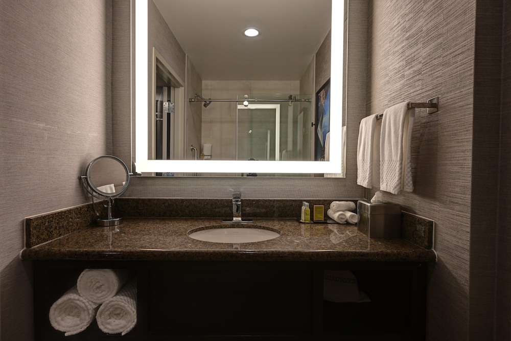 DoubleTree by Hilton Denver International Airport - photo 29