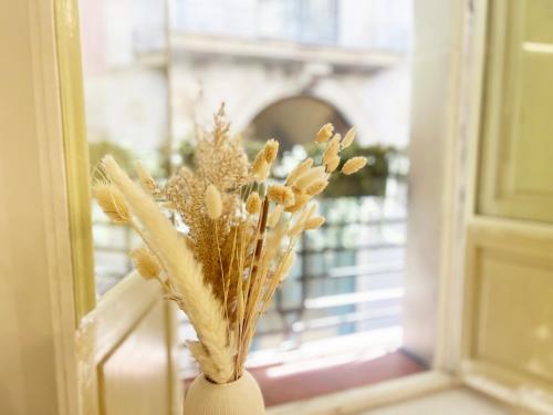 Avimer 31 in Ciutat Vella, Spain