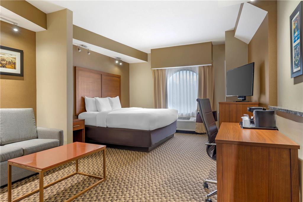 Comfort Suites Monroeville Pittsburgh East - photo 34