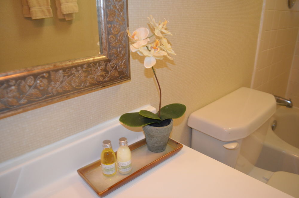Chapel Hill University Inn - photo 25