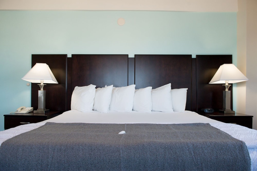 Hotel Sheldon - photo 9
