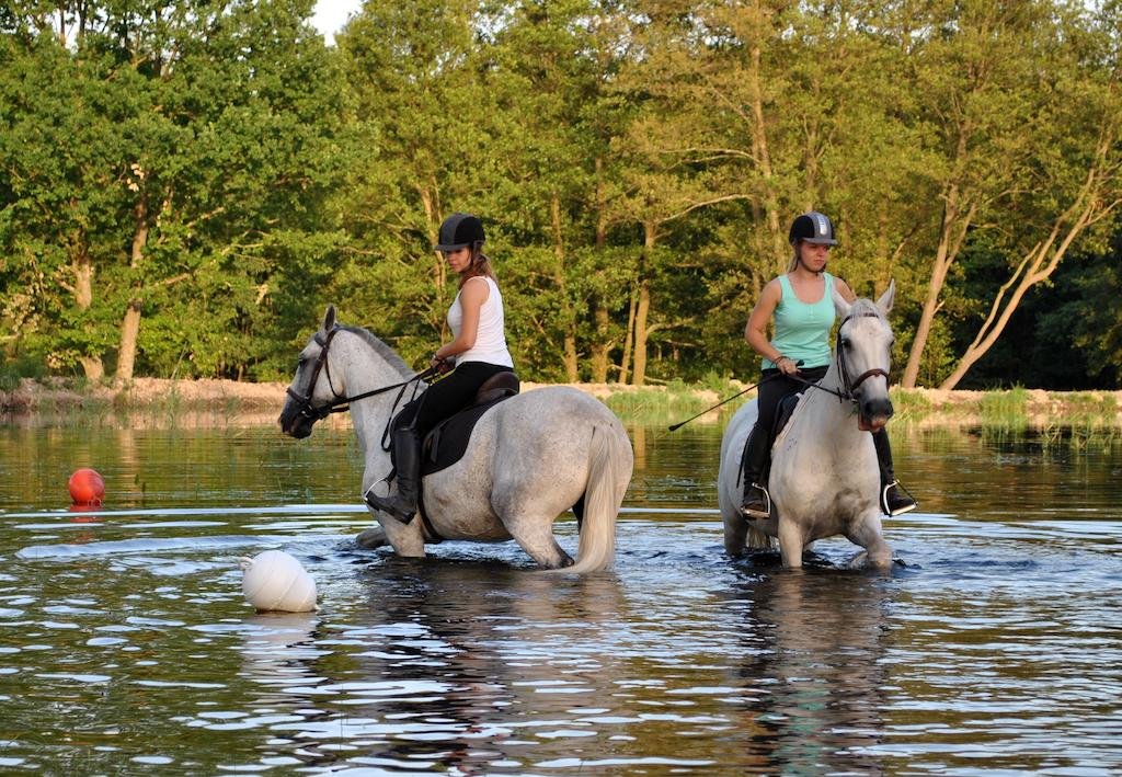 Hotelový a jezdecký areál Dvůr Krutěnice in Kasperske Hory, Czech Republic