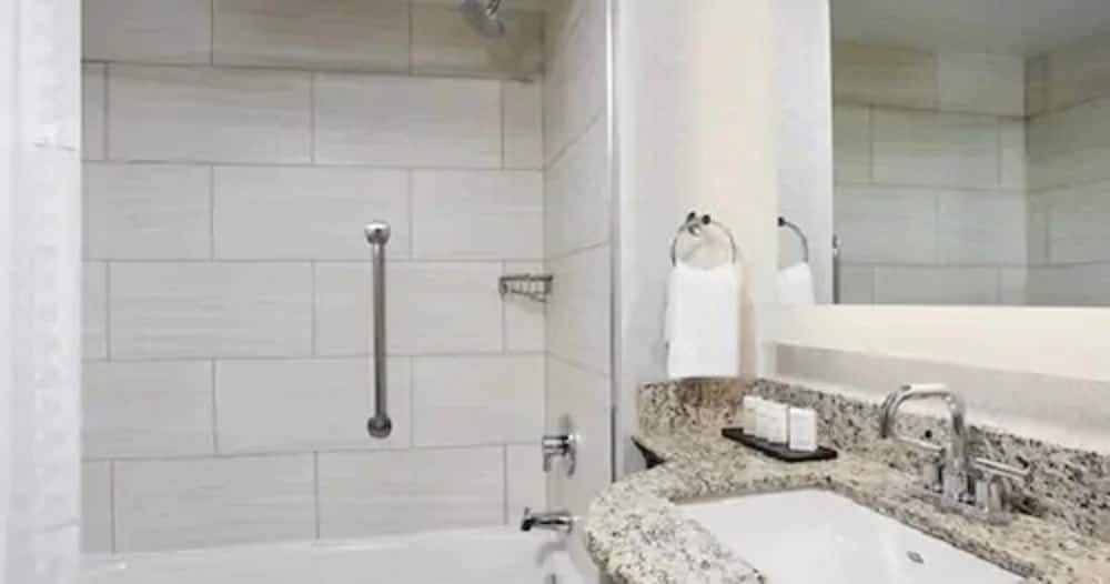 Embassy Suites by Hilton Orlando Airport - photo 26