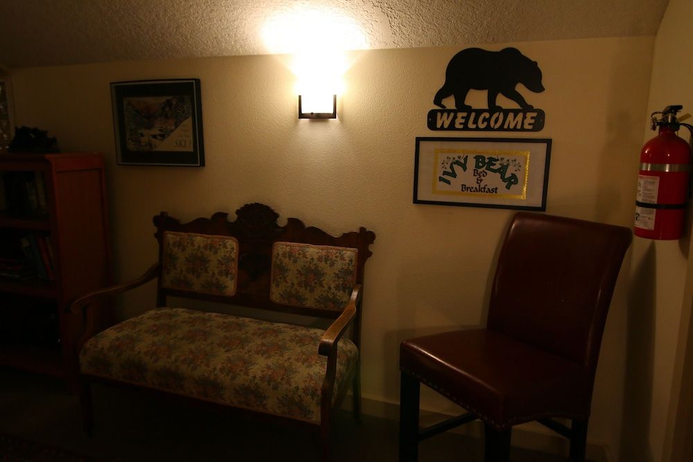 Ivy Bear B&P - photo 4