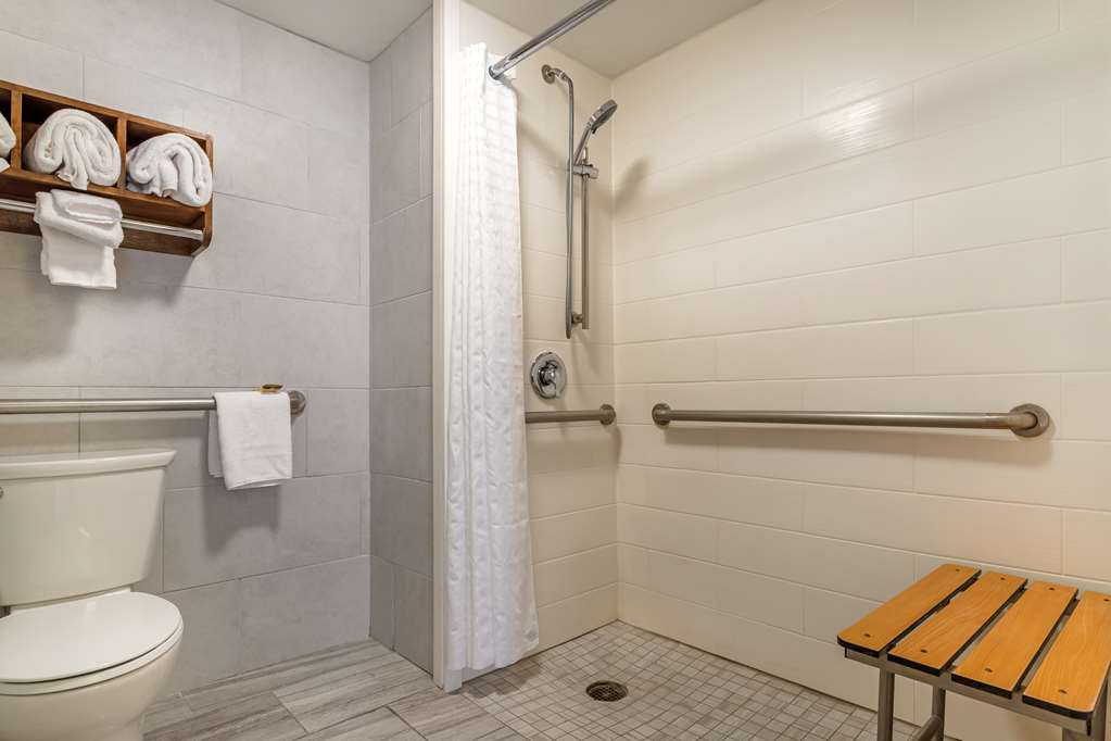Best Western Plus Houston Energy Corridor - photo 28