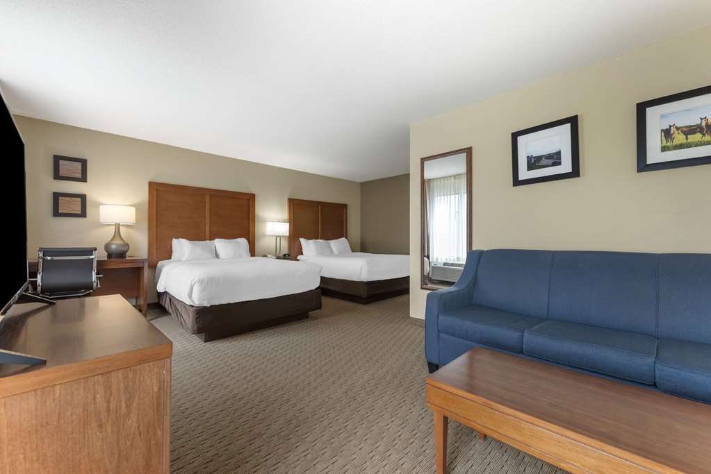Comfort Inn & Suites Black River Falls I 94 - photo 22