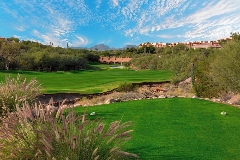 The Westin La Paloma Resort and Spa - photo 102