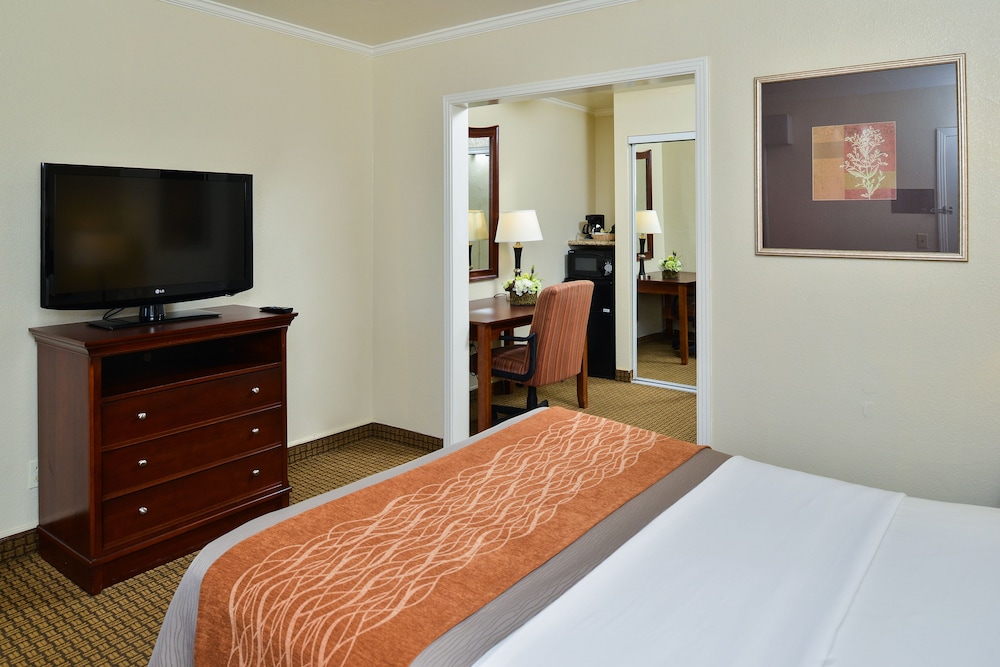 Blu Pacific Hotel - photo 9