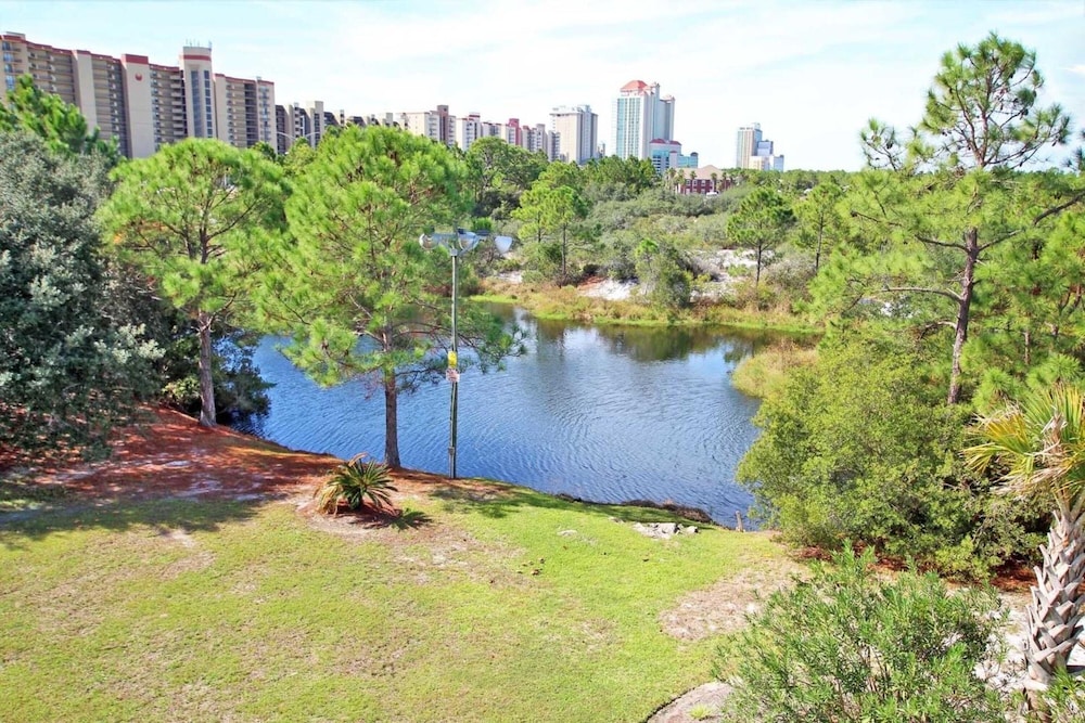 Palmetto 306 - photo 32