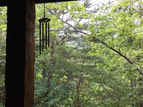 Mountain Blessings - photo 17