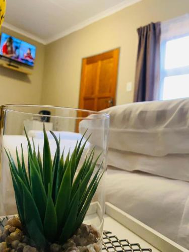 Lion Akarsu Apart Hotel — hotel in Avsallar