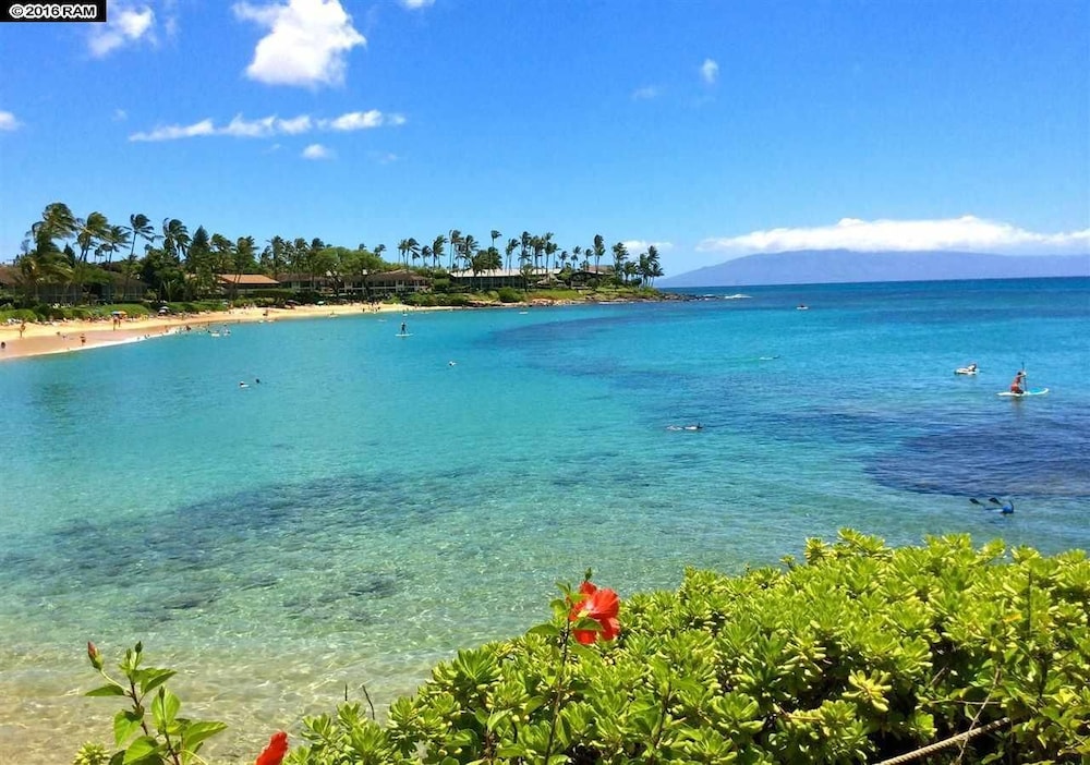 Napili Point C40 NP C40 Beautiful OceanFront 2BD Ocean View AC - photo 16