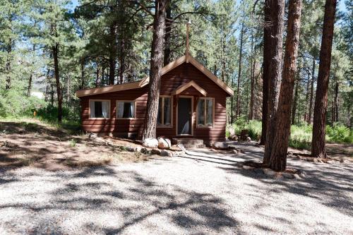 151 CR 200 Studio Cabin — 4-Star Luxury Hotel in Durango, United States