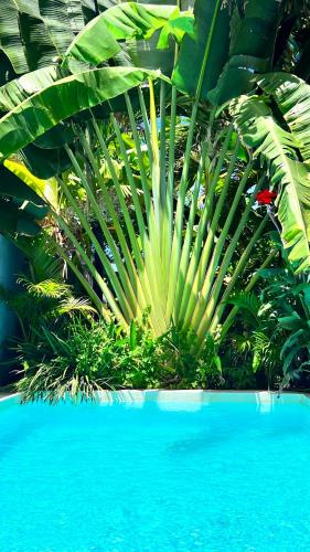 Castelo Pink Boutique Hotel in Beberibe, Brasil