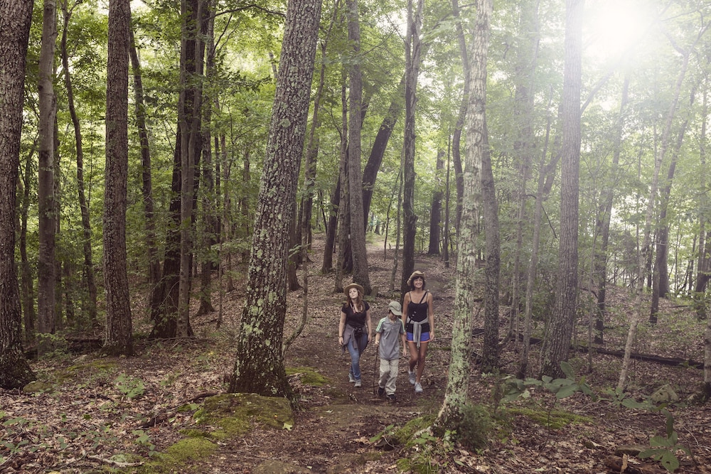 Dale Hollow Lake State Resort Park - photo 14