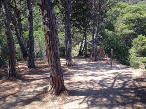 Villa Reymar diseño y vistas al mar — Tossa De Mar — photo 3