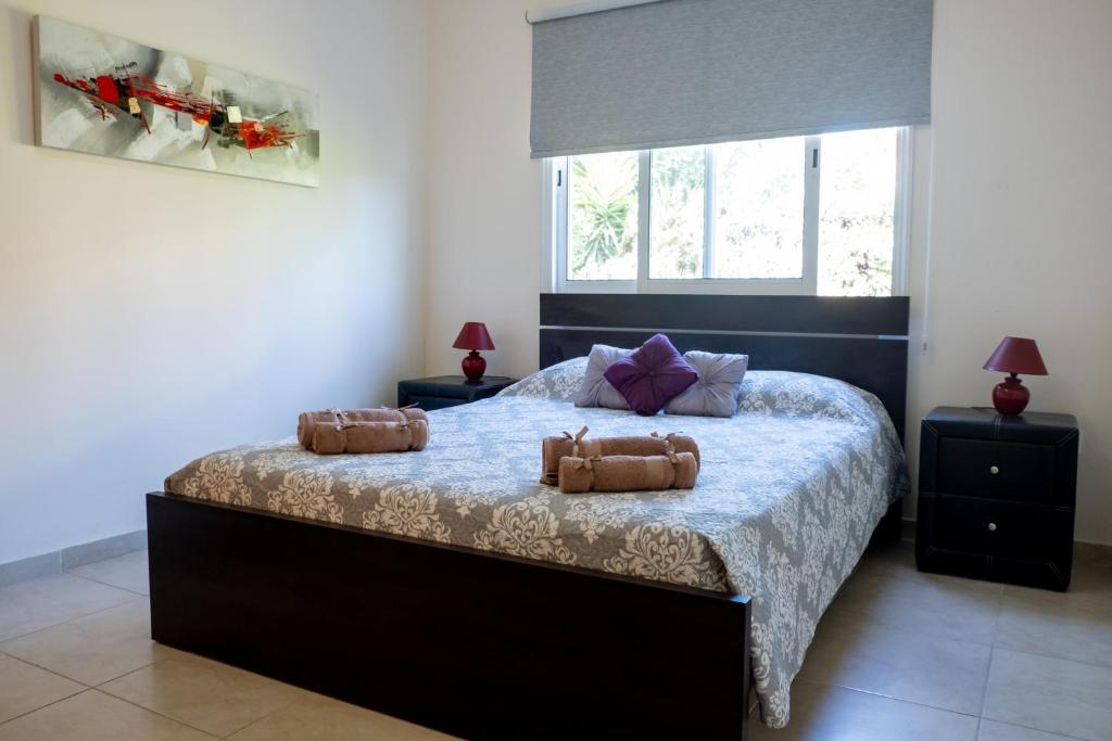Stylish 2 Bedroom apartment in Pegia