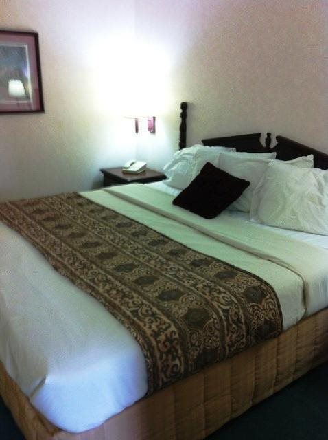 Americas Best Value Inn & Suites Birmingham Calera - photo 14