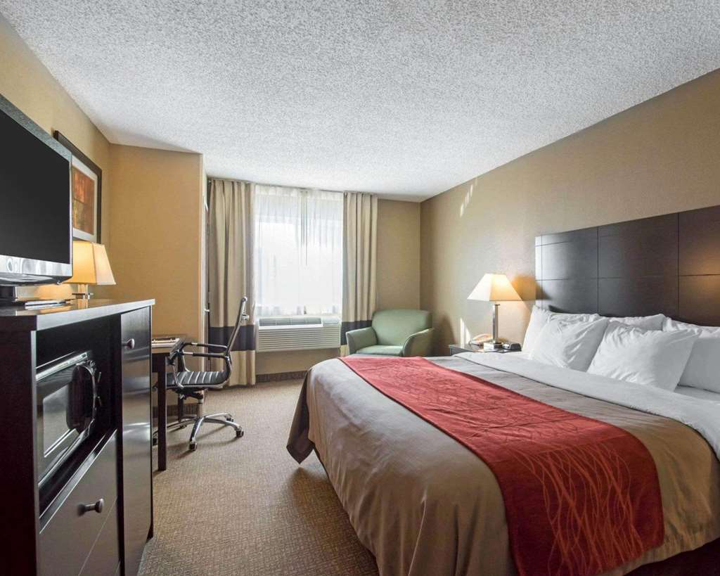 Comfort Inn Saugerties - photo 14