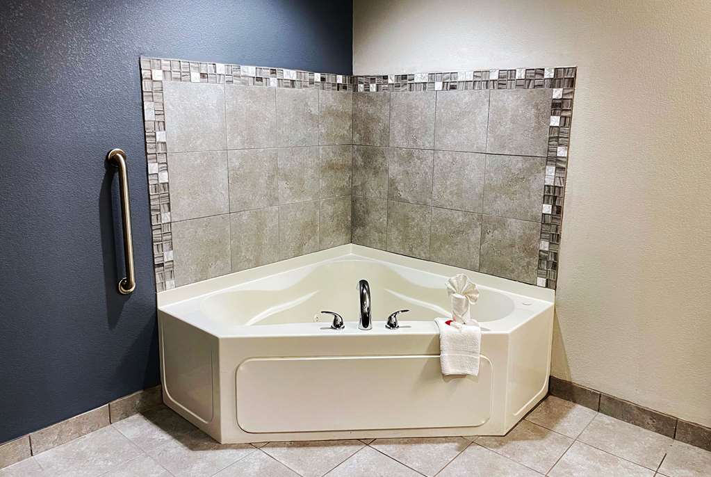 Microtel Inn & Suites by Wyndham Michigan City - photo 16