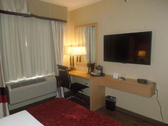 Hotel Lynx - photo 13