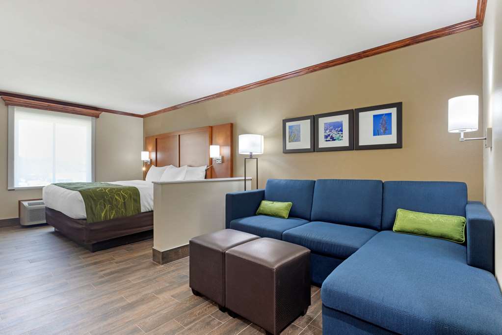 Comfort Suites West Monroe near Ike Hamilton Expo Center - photo 13