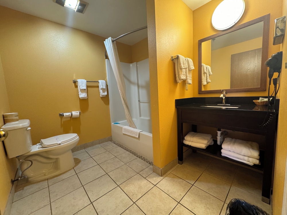 The Royal Victorian Motel - photo 44