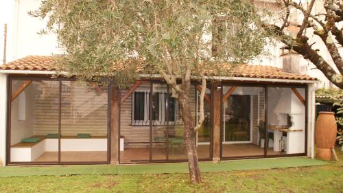 Chouette in Royan, France