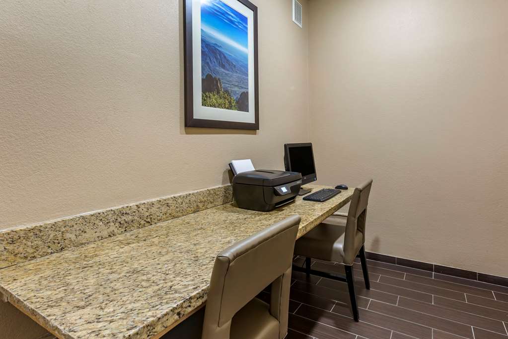 Comfort Inn & Suites Alameda at Albuquerque Balloon Fiesta Park - photo 26