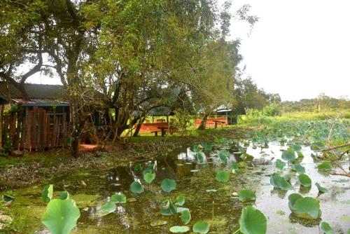 Meegahapokuna Resort in Anuradhapura, Sri Lanka
