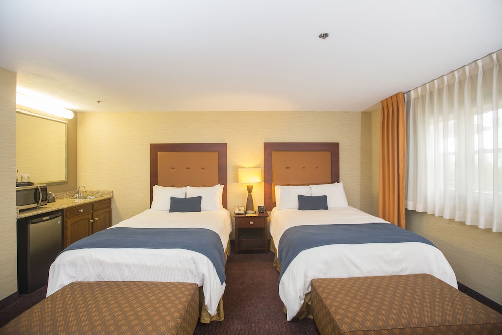 Ivy Court Inn & Suites - photo 7