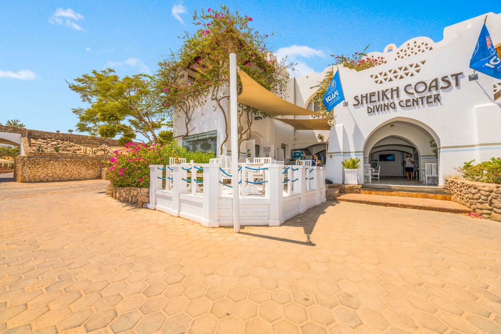 פעילויות וכושר