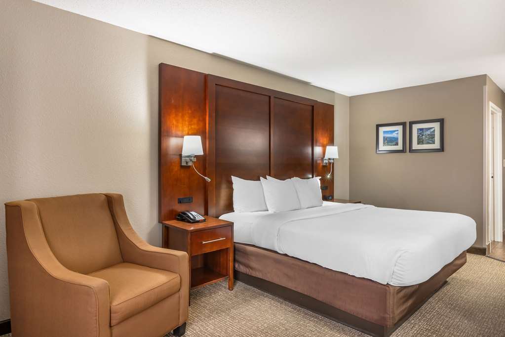 Comfort Inn & Suites Conway - photo 19