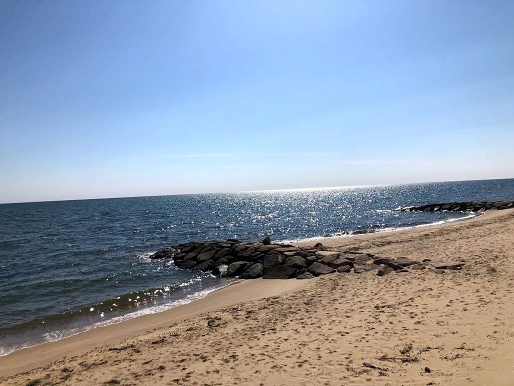 Pelham House Resort - photo 15