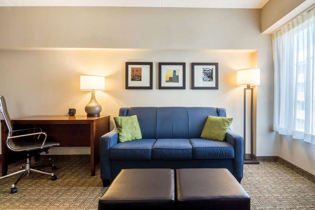 Comfort Suites at Woodbridge - photo 30