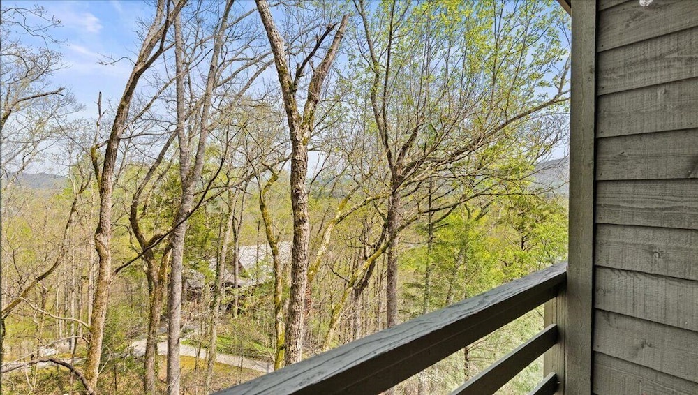 Laurel Valley Mountain Retreat - photo 152