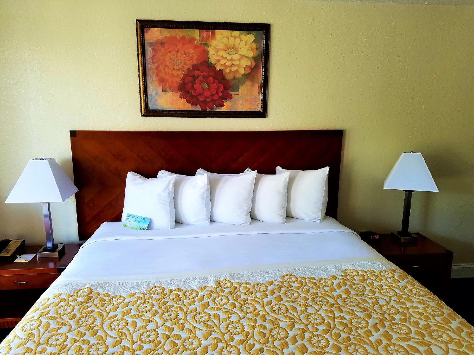 Days Inn and Suites by Wyndham Clermont - photo 11