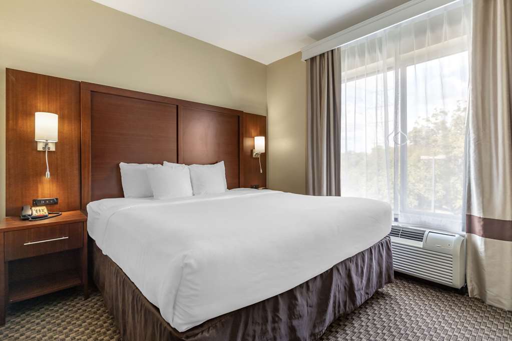 Comfort Suites Medical Center near Six Flags - photo 14