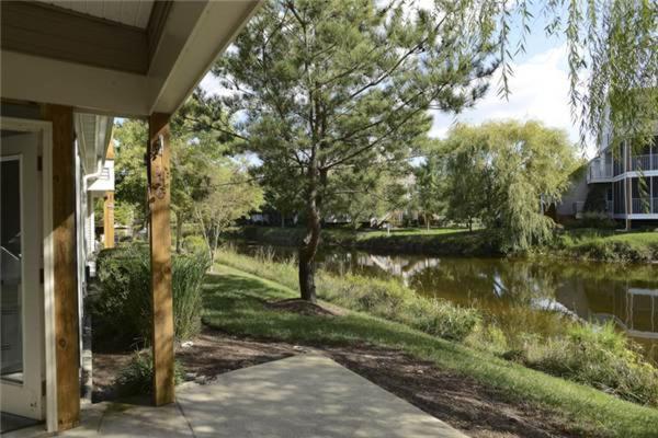 Sea Colony 56032 Great Pine