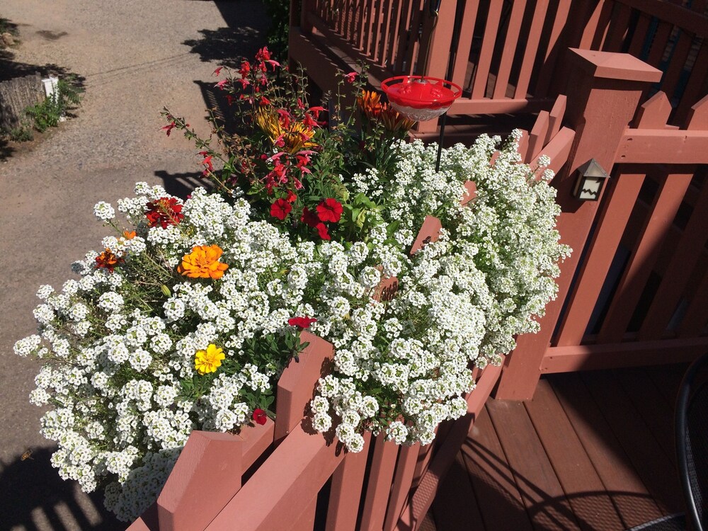 Inn on the Paseo - photo 66