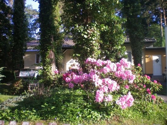 An der Aue 3 Seepferdchen — 4-Star Luxury Hotel in Dahme, Germany